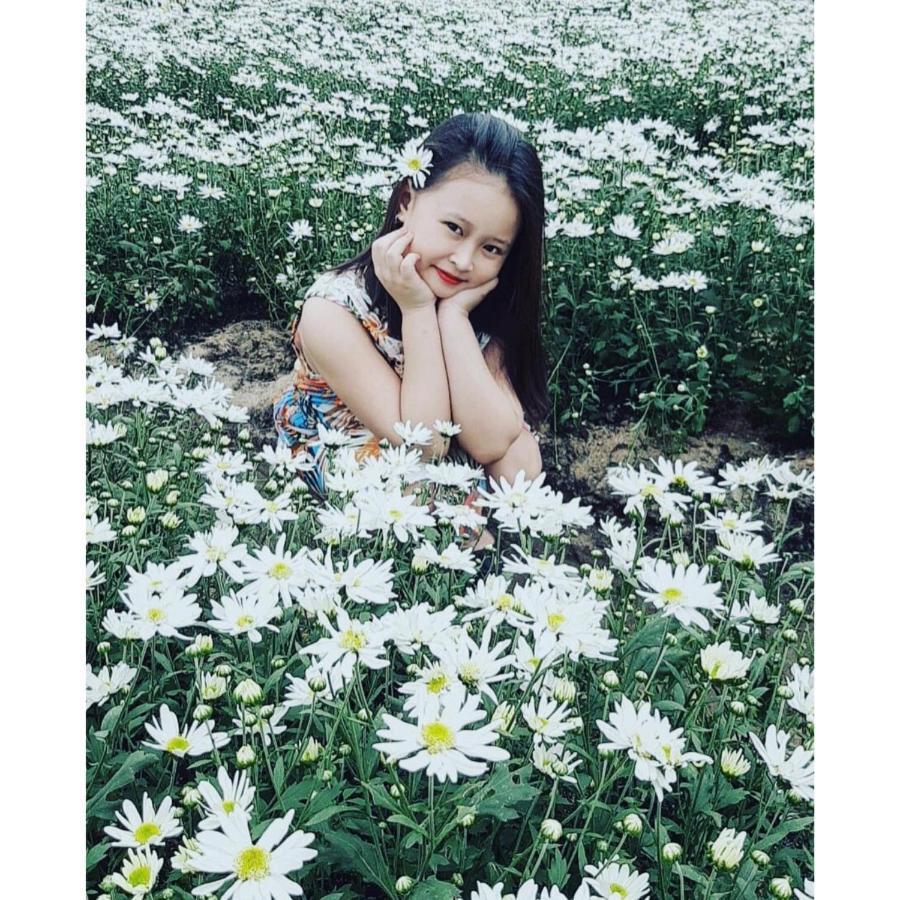 셀리나 호텔 앤 아파트먼트 다낭 외부 사진